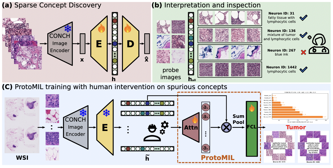 Prototype-Based Multiple Instance Learning for Gigapixel Whole Slide Image Classification